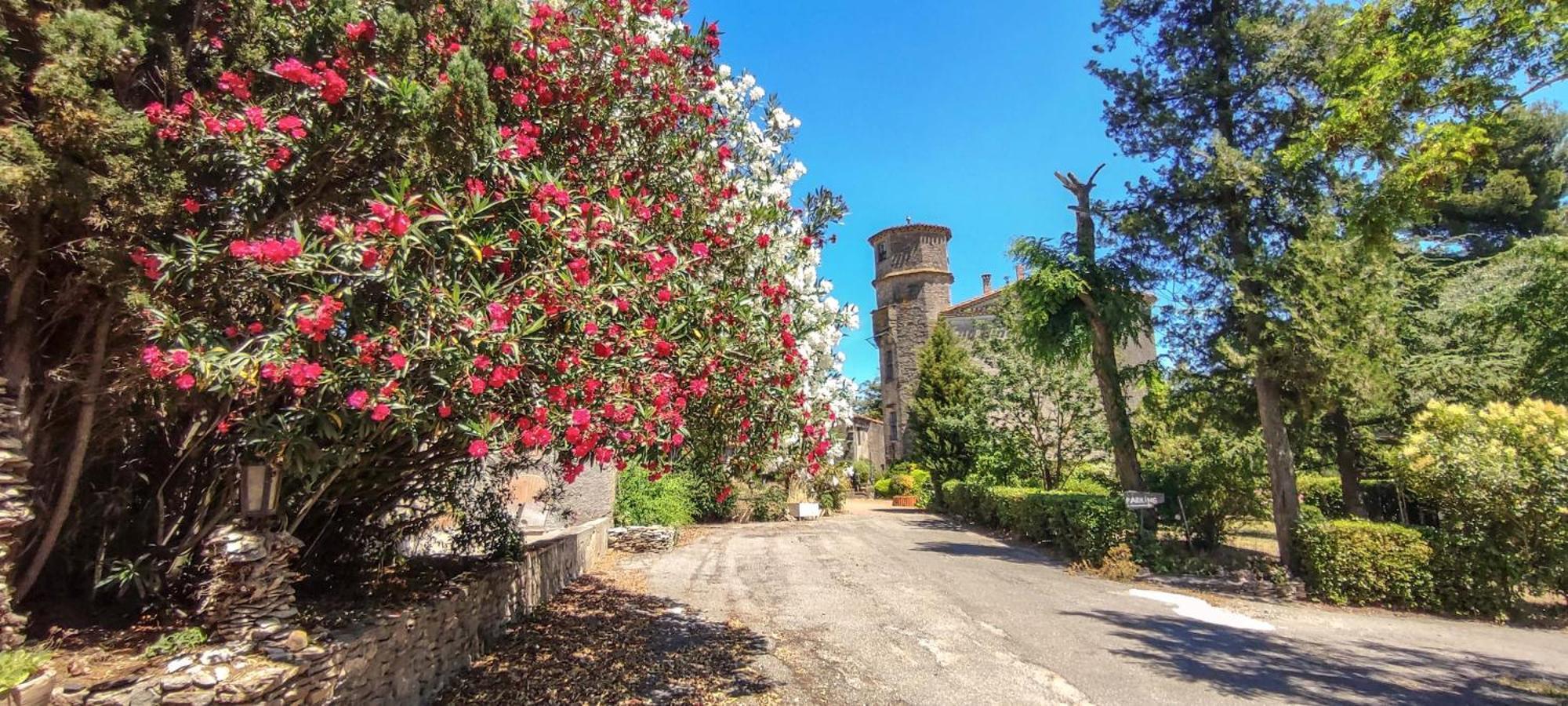 Chateau Saint-Martin Carcasona Exterior foto